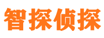 册亨智探私家侦探公司